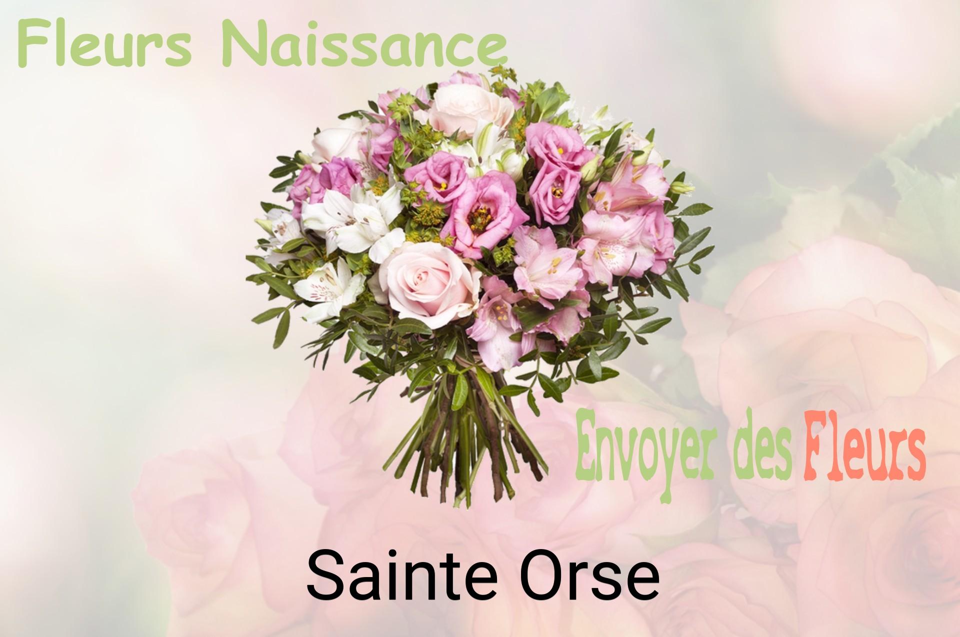 Bouquet de fleurs de naissance livré à Sainte-Orse